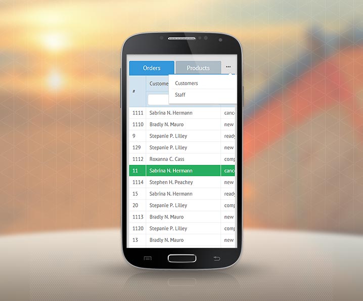 webix responsive mobile web app