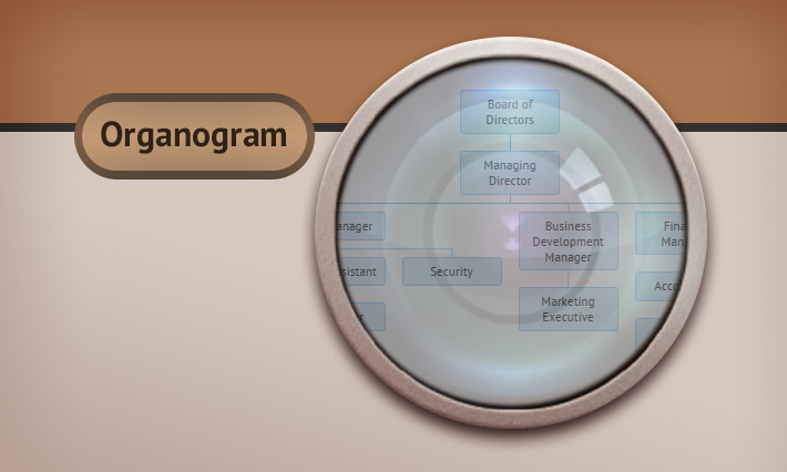 Organogram